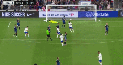 net, 时候确实打, dg net, 时候确实打, dg