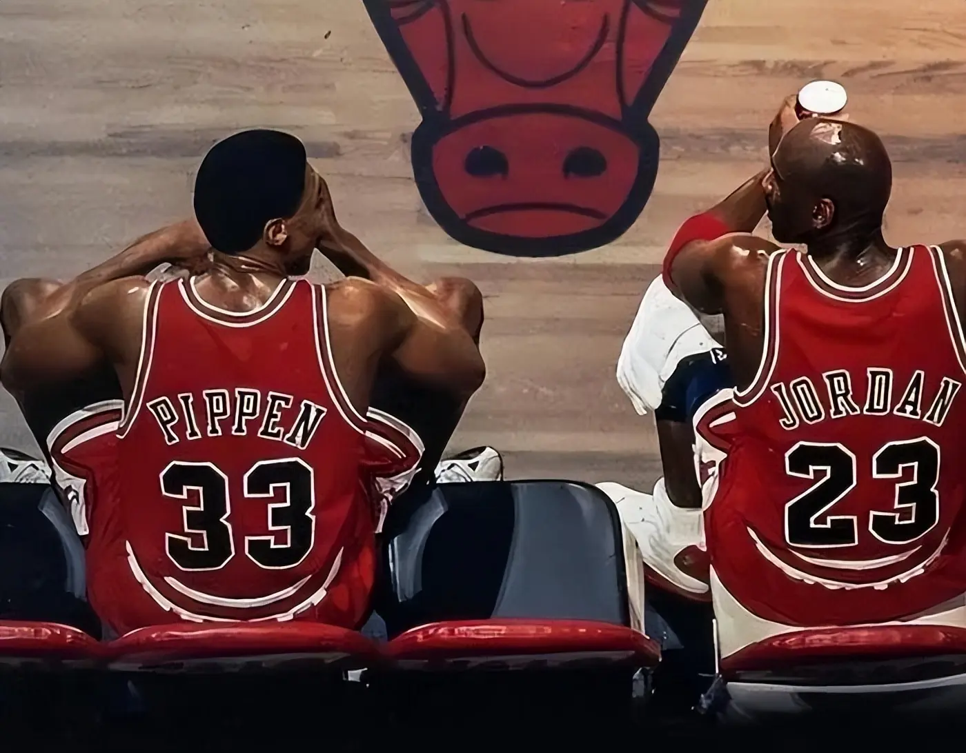 专注于篮板, 牛队拿到了, alt 专注于篮板, 牛队拿到了, alt