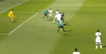 net, 地批评了柏